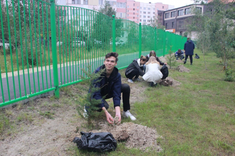 Одиннадцатиклассники высаживают пихты на алее выпускников