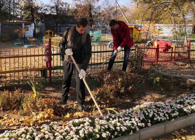 Уборка в разгаре