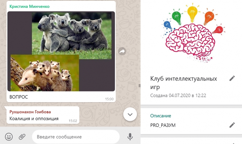 Примерно так выглядит игровой чат