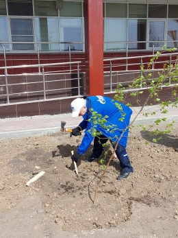 картинка