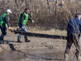 Озеро Молодежное стало чище