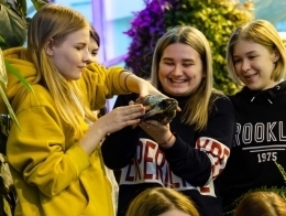 В культурно-спортивном комплексе поселка Новозаполярного