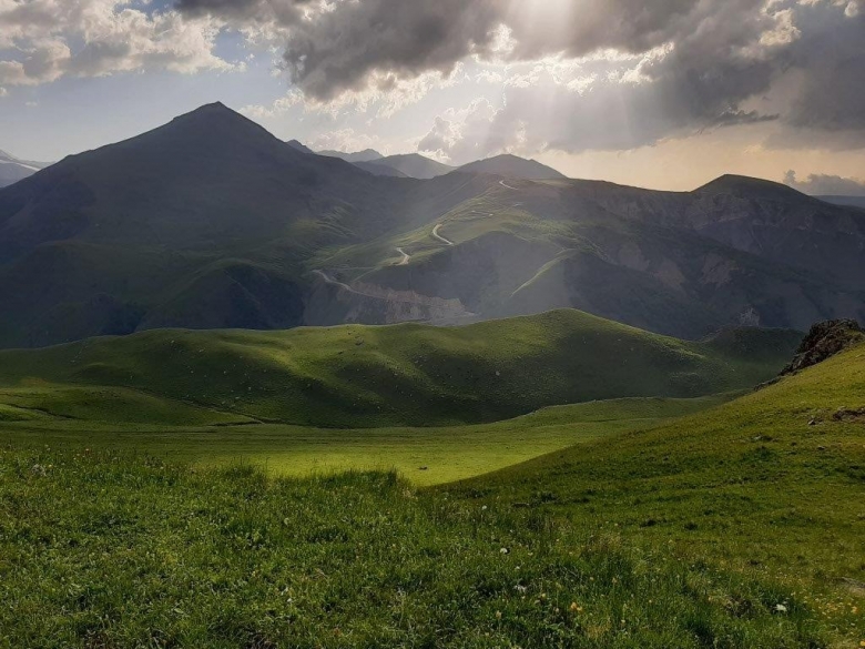 картинка