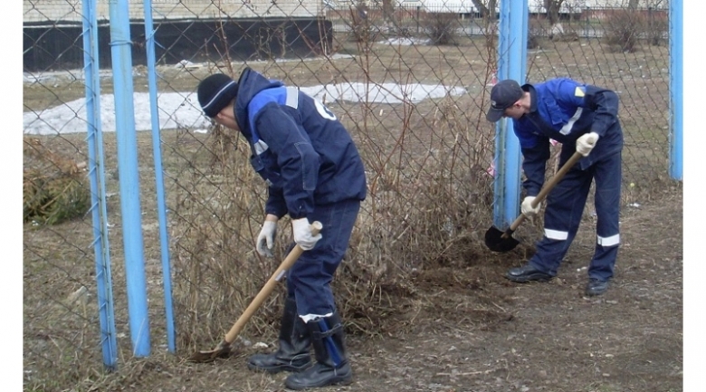 картинка