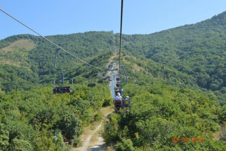 картинка