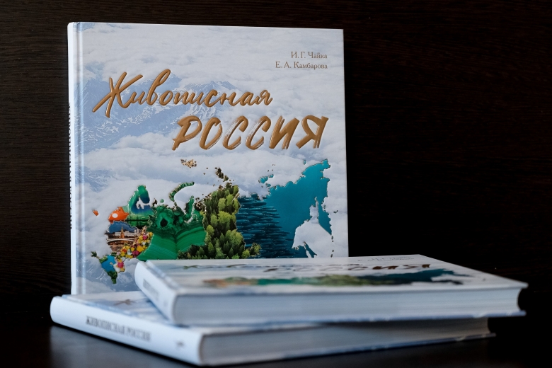 картинка