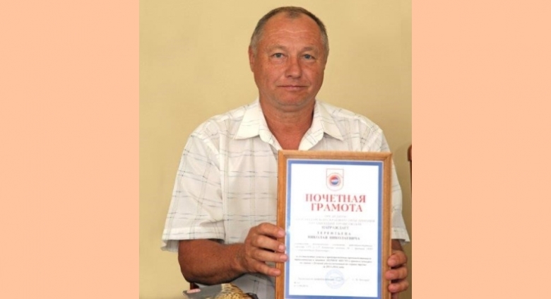 картинка