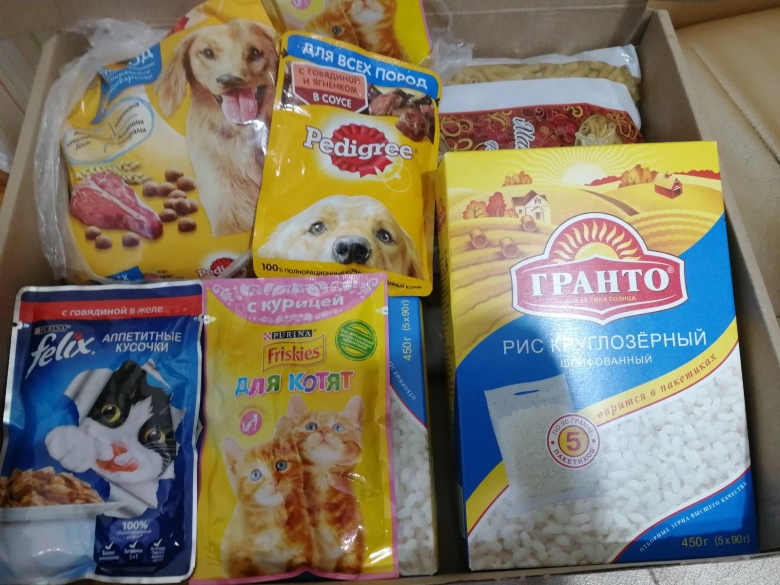 картинка