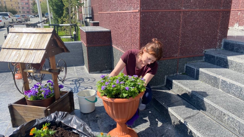 картинка